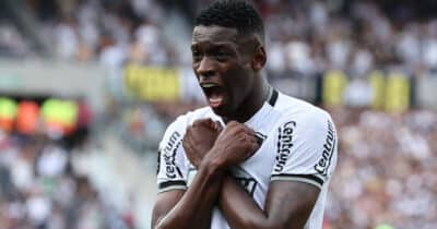 Luiz Henrique - Botafogo (Foto: Reprodução)