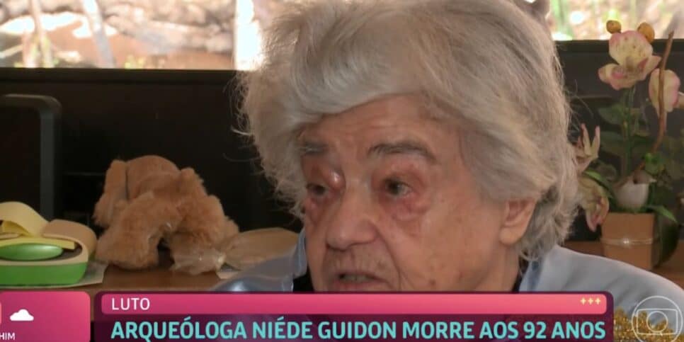 Niéde Guidon (Foto: Reprodução / Globo)