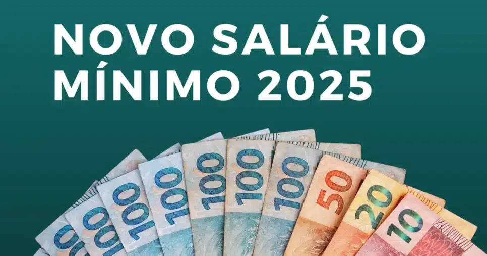 Novo Salário Mínimo (Foto: Reprodução)