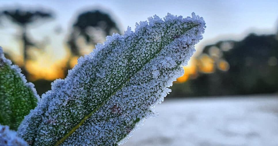 Onda de frio no Brasil (Foto: Reprodução)