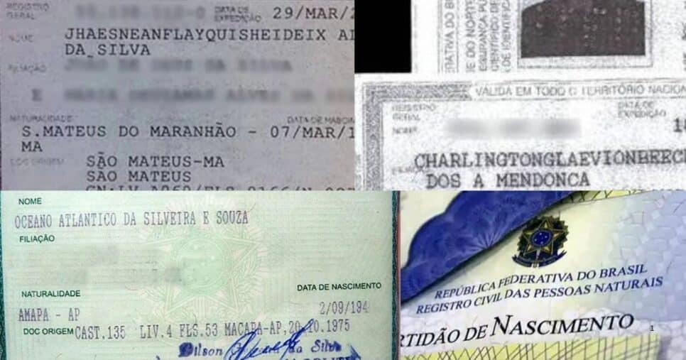 Exemplos de registros exóticos no Brasil( Foto Reprodução/Montagem/Tv Foco/Internet)