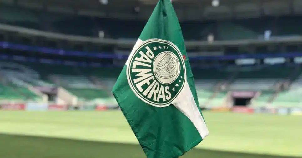 Palmeiras (Foto: Reprodução)