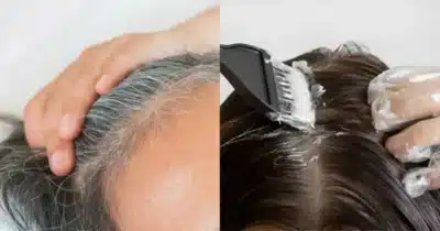 Tinta com 2 ingredientes cobre cabelos brancos sem danificar fios (Foto: Reprodução/ Internet)