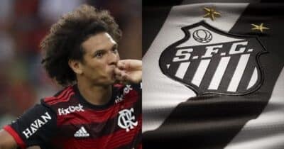 William Arão e Santos no Brasileirão - Foto Reprodução Internet