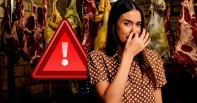 Carne podre e fedida: Denúncia contra açougue popular deixa clientes atônitos em Recife, PE