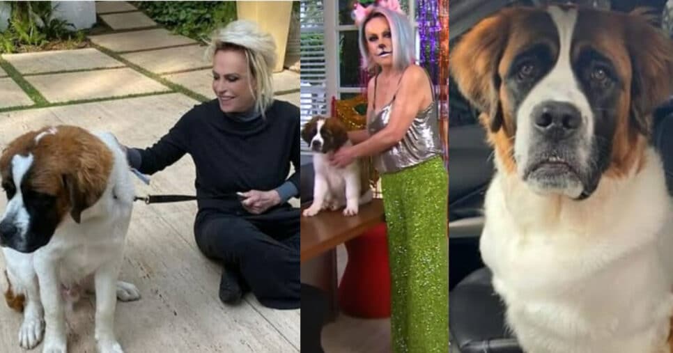 Apresentadora do Mais Você fez homenagem ao seu cachorro Capuccino (Foto: Reprodução/Montagem TV Foco)