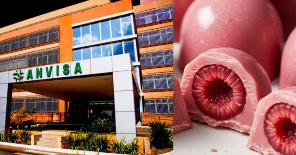 ANVISA proíbe chocolate famoso após constatar riscos na fabricação (Foto Reprodução/Montagem/Lennita/Tv Foco/Canva)