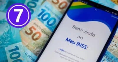 Aplicativo do Meu INSS (Foto: Reprodução / Gov / Canva / Montagem TV Foco)