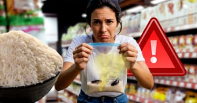 Denúncia contra arroz popular choca consumidores após relato de cheiro de barata (Foto Reprodução/Montagem/Lennita/TV Foco/GMN)