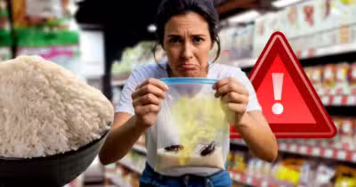 Denúncia contra arroz popular choca consumidores após relato de cheiro de barata (Foto Reprodução/Montagem/Lennita/TV Foco/GMN)