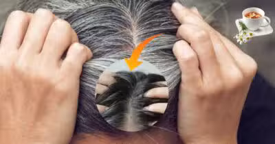 Cabelo branco, fios escuros e chá natural (Foto: Reprodução / Canva / Montagem TV Foco)