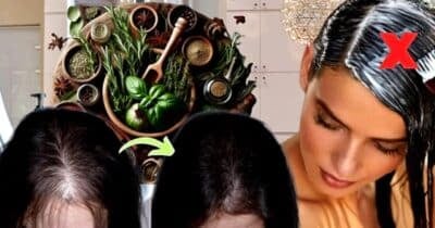 Cabelos grisalhos podem ser revertidos com o uso de uma planta comum (Foto Reprodução/Montagem/Tv Foco/Canva/Lennita/Internet)
