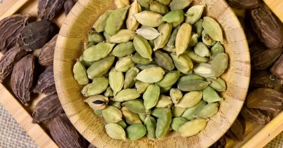 Cardamomo (Foto Reprodução/Canva)