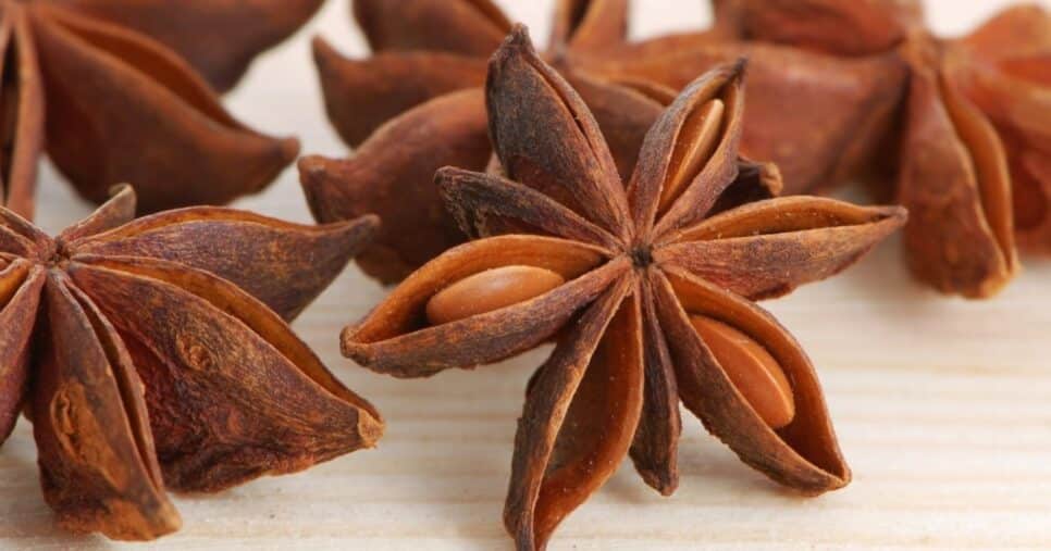 chá-anis-estrelado