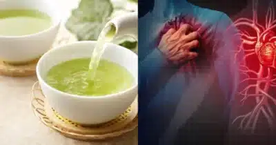 Esse é o melhor chá para prevenir contra infarto e derrame cerebral
- Montagem / TV FOCO