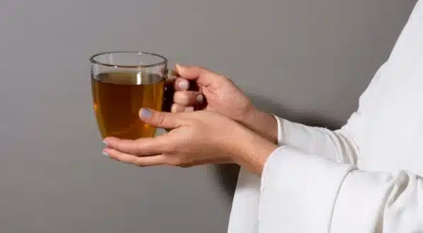Chá para ajudar a secar a barriga (Foto: Reprodução/ Internet)