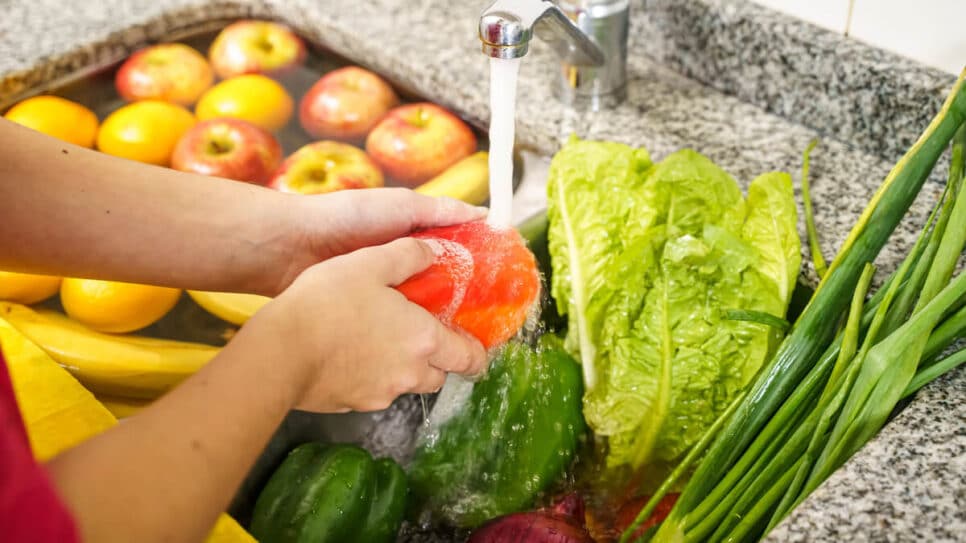 Higienize bem suas frutas e verduras (Foto: Reprodução/ Internet)