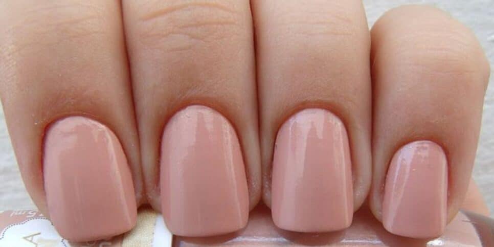 Rosa Candy