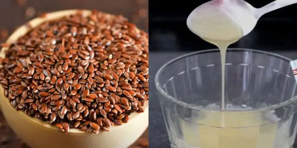 Linhaça e gelatina sem sabor também ajudam a pele (Reprodução: Montagem TV Foco)