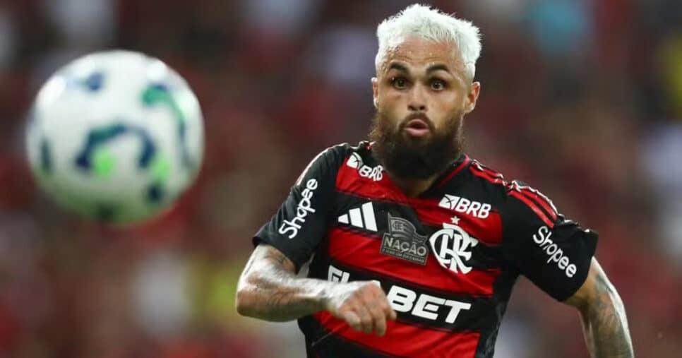 Michael tem futuro incerto no Flamengo (Foto: Gilvan de Souza / Flamengo)