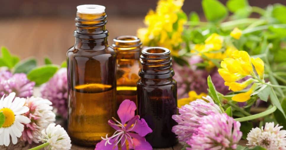 Óleo natural poderoso pode eliminar varizes (Foto: Reprodução/ Internet)