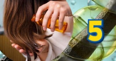 Óleos para restaurar o cabelo seco (Foto: Reprodução / Canva / Montagem TV Foco)