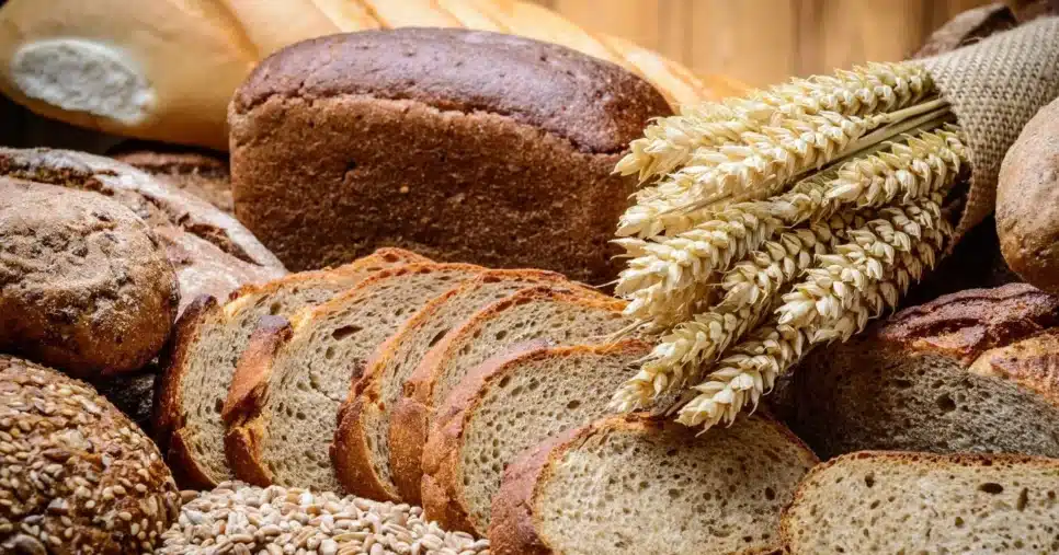 Cliente denunciou a presença de uma barata viva em um pão comprado por ele (Foto Reprodução/Canva)