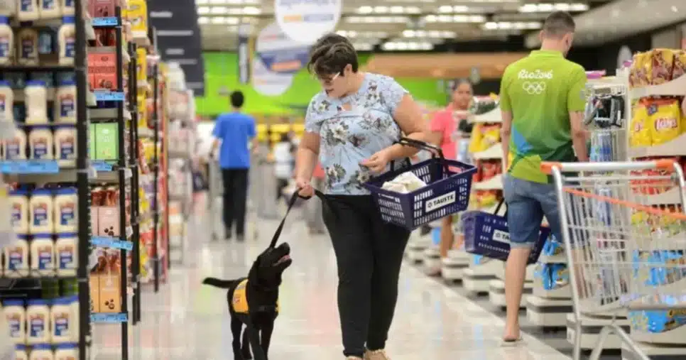 PL permite entrada de pets em supermercados de BH - Foto: Internet