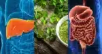 A planta que limpa a gordura do fígado e regula o intestino (Foto: Reprodução/ Internet)