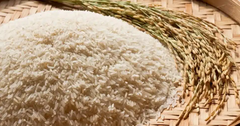 Arroz
