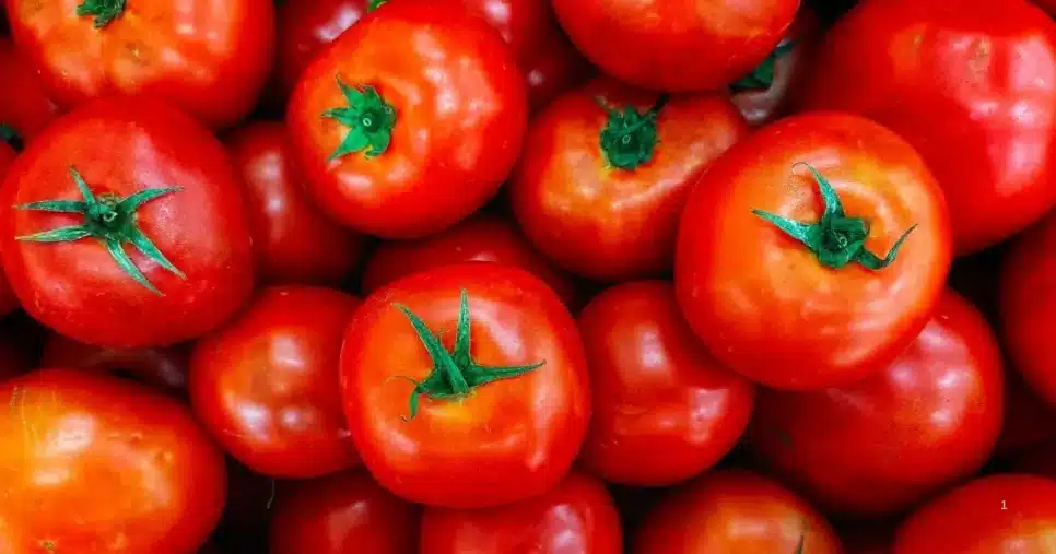 Tomate (Foto: Reprodução/Internet)