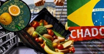 Supermercado popular encerra atividades no Brasil (Foto Reprodução/Montagem/Lennita/Tv Foco/Canva)