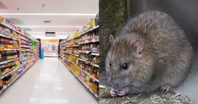 Rato em chocolate: Globo comunica denúncia em supermercado popular de SP
