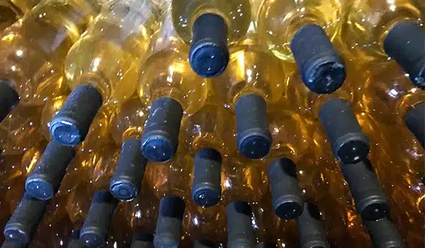 Valinhos conta com uma série de vinícolas (Foto Reprodução/Chão de Pedra)