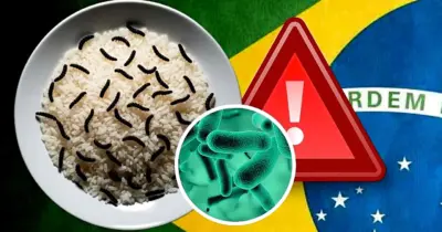 Arroz com larvas e alerta de contaminação: Denúncia contra marca n°1 tira chão de consumidores