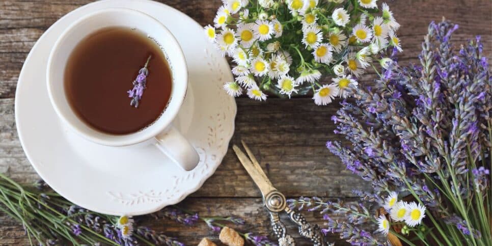 Chá de lavanda (Foto: Canva)