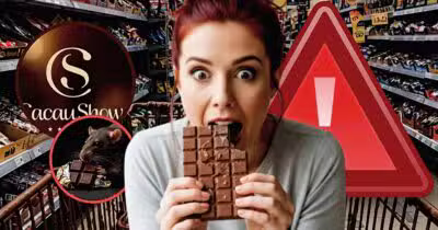 Denúncia envolvendo chocolate da Cacau Show espanta cliente (Foto Reprodução/Montagem/TV Foco/Lennita/Canva/Internet)