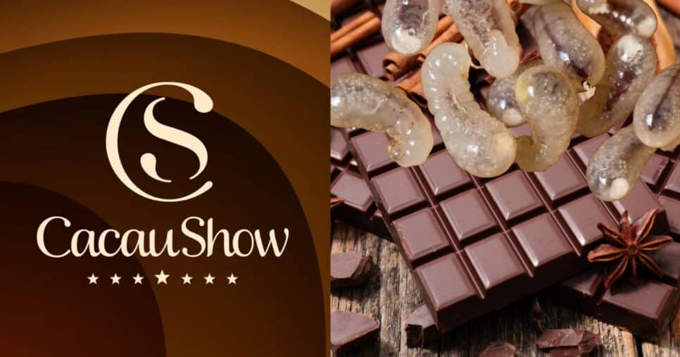 Logo Cacau Show e ilustração chocolate com larvas (Fotos: Reproduções / Internet / Canva)