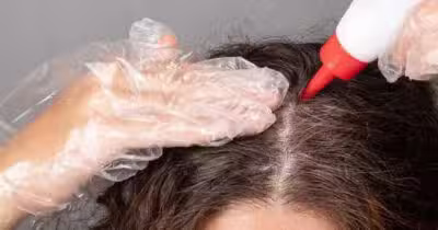 Tinta natural - Cabelo Branco (Foto: Reprodução)