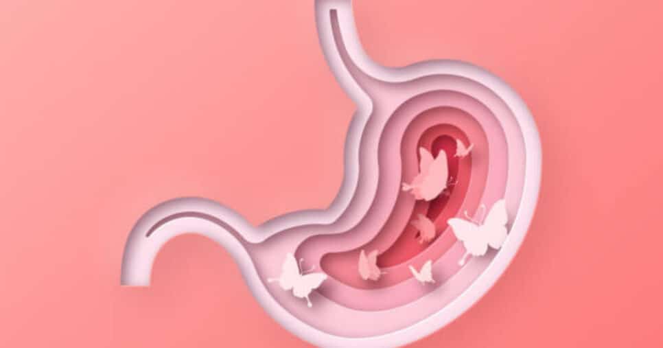Saiba o que significa as famosa borboletas no estômago (Foto: iStock)
