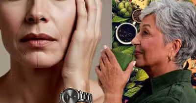 Ilustração de senhora tomando um chá/ pele com rugas e fundo com várias ervas ((Foto Reprodução/Montagem/Lennita/Tv Foco/Canva/)