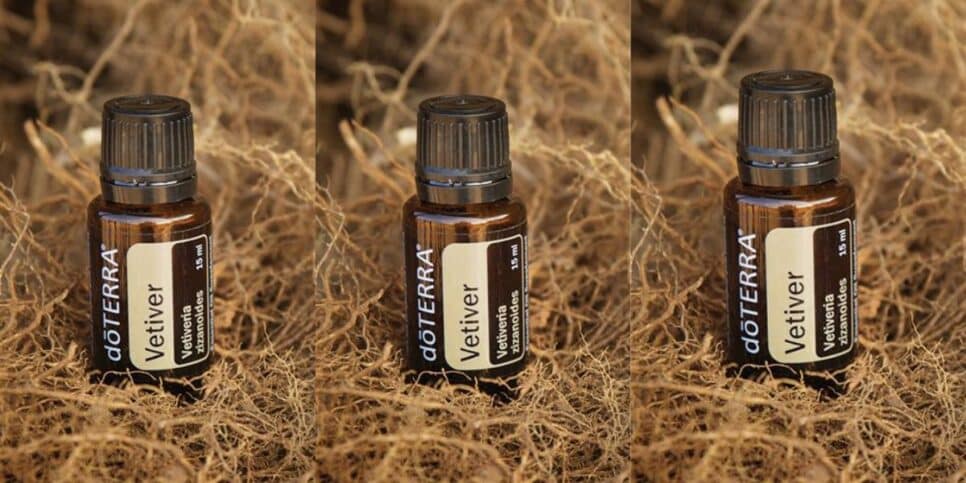 Óleo de Vetiver (Reprodução: Canva)