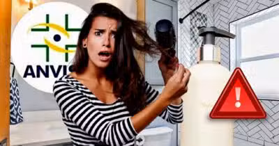 Shampoo foi proibido pela ANVISA após risco (Foto Reprodução/Montagem/Lennita/Tv Foco/Canva)