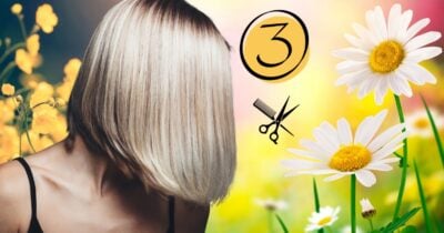 3 cortes de cabelo primavera-verão (Foto: Reprodução / Canva / Montagem TV Foco)