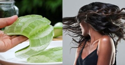 Babosa no cabelo e pele: Aprenda a fazer uma hidratação profunda (Foto: Reprodução/ Internet)