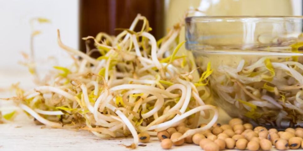 Vinagre e soja são dois produtos comuns na cozinha (Reprodução: Internet)
