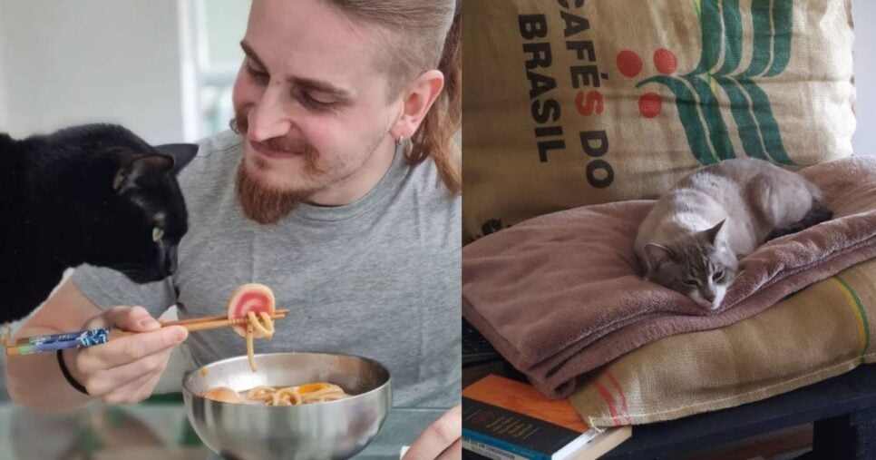 Cliques de Lucas Hornos com seus gatos (Foto: Reprodução/Montagem/Instagram@ Lucas. Hornos)