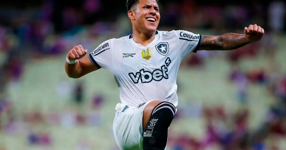 Matheus Martins - Botafogo (Foto: Reprodução - Instagram)