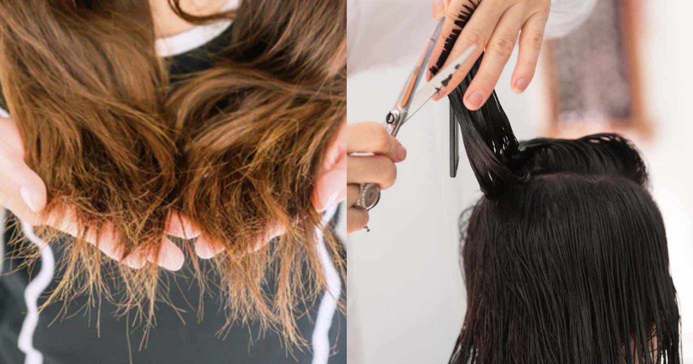 Segredo para se livrar das pontas duplas (Foto: Divulgação)