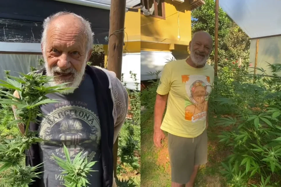 Estrela da Globo, Ricardo Petraglia, mostra plantação de maconha (Foto: Reprodução/ Montagem)